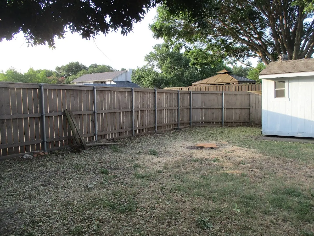 Cleared yard after professional tree removal in Boothville